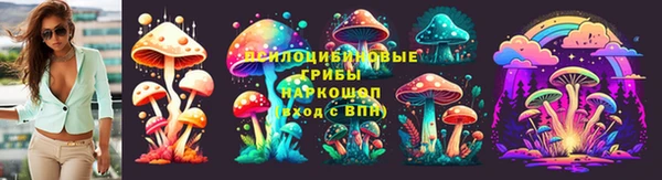 стафф Новозыбков