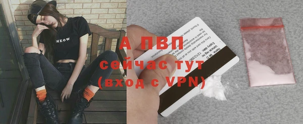 СК Новодвинск
