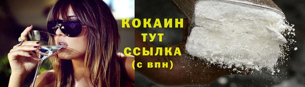 СК Новодвинск