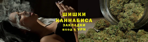 СК Новодвинск