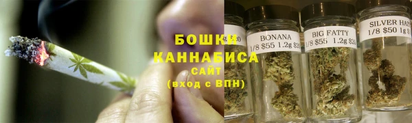 СК Новодвинск