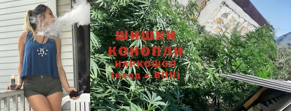 стафф Новозыбков