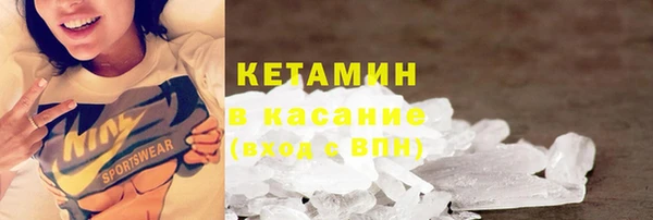 СК Новодвинск