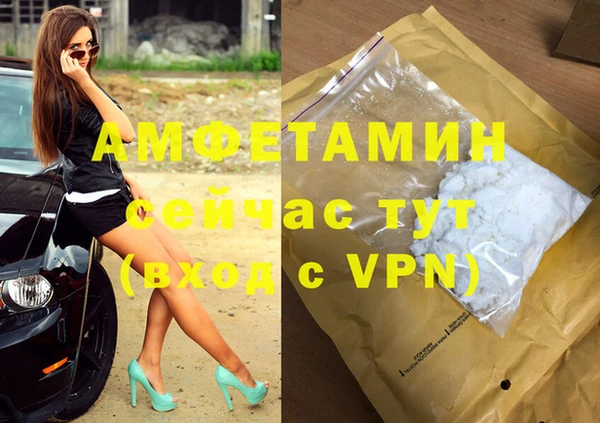 стафф Новозыбков