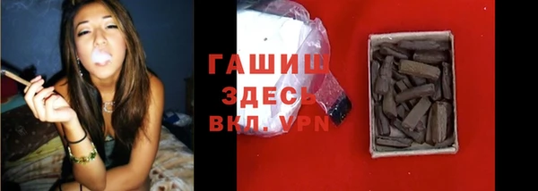стафф Новозыбков