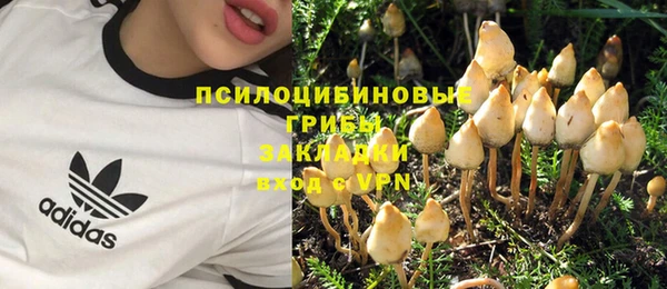 СК Новодвинск