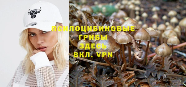 СК Новодвинск