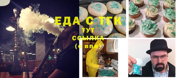 СК Новодвинск
