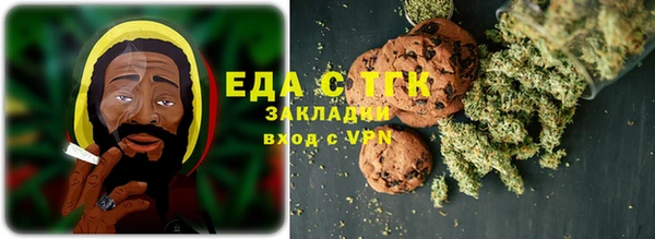 СК Новодвинск