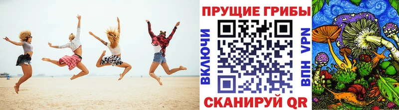 Купить закладки  Константиновск  Псилоцибиновые грибы MAGIC MUSHROOMS 